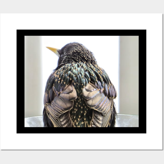 European Starling No.1 Wall Art by MaryLinH